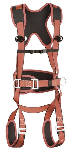 [CI5P-UNICA] AEREA - IMBR.ANC.DORS.STER+CINT.POSIZ. PLUS (CI5P)